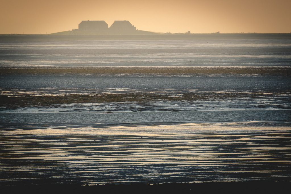The smell of salt and sea