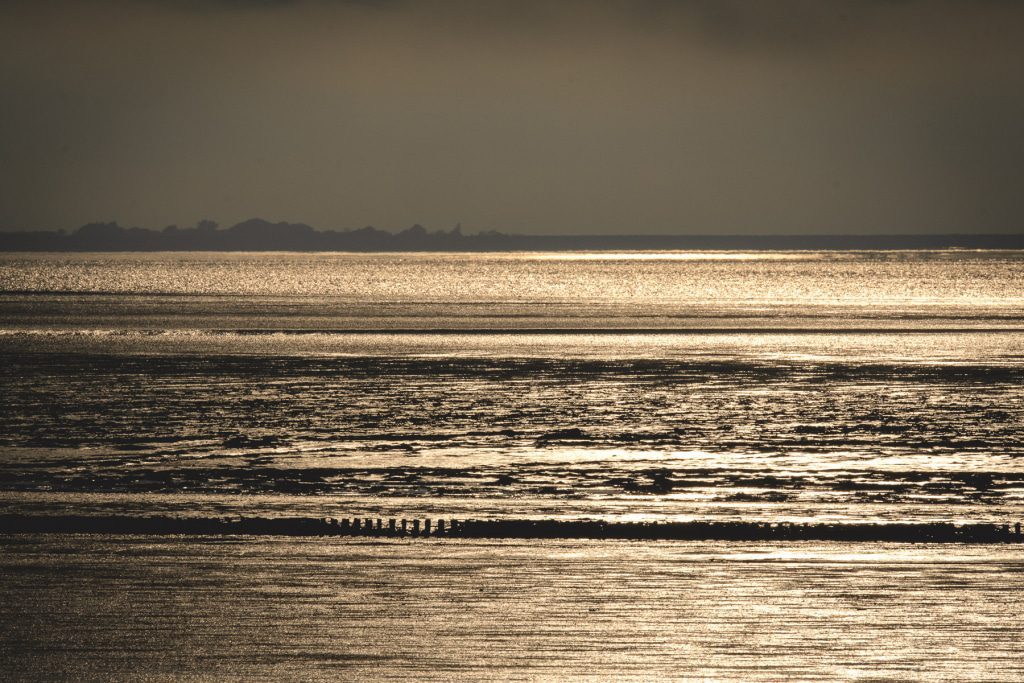 The smell of salt and sea