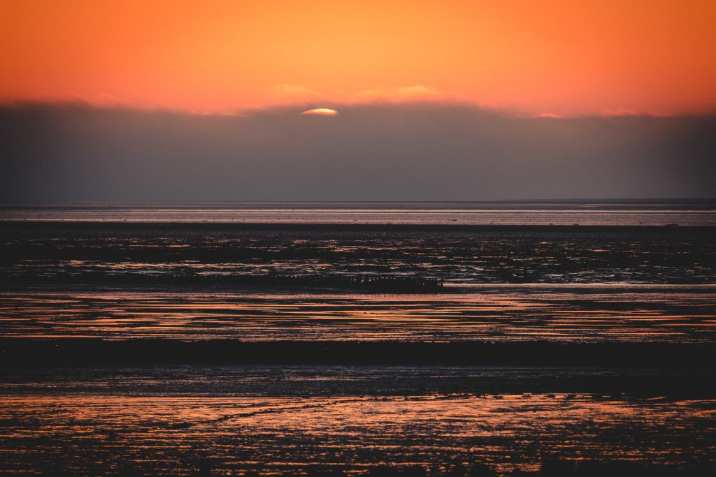 The smell of salt and sea