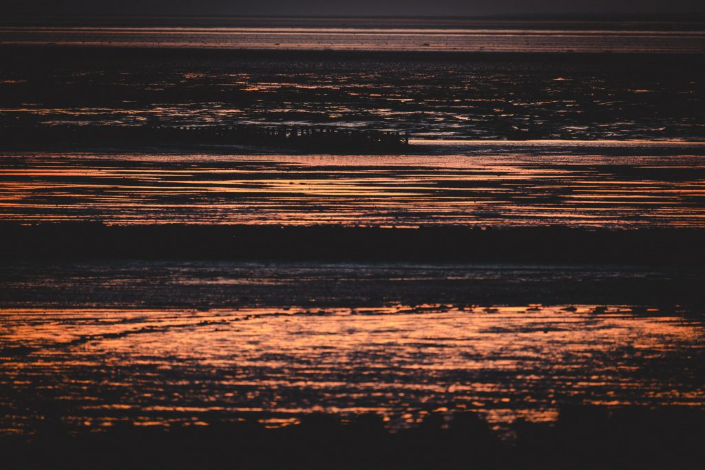 The smell of salt and sea