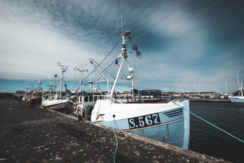 The smell of salt and sea